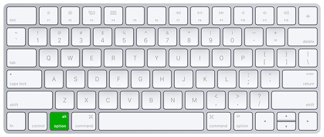 'Option' or
'alt' key in the bottom left of Mac keyboard